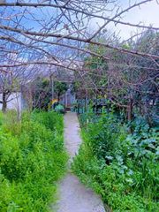 Μονοκατοικία 261 τ.μ. για πώληση