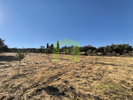 Οικόπεδο 5.300 τ.μ. για πώληση