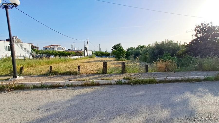 Οικόπεδο 800 τ.μ. προς πώληση, Ροβιές