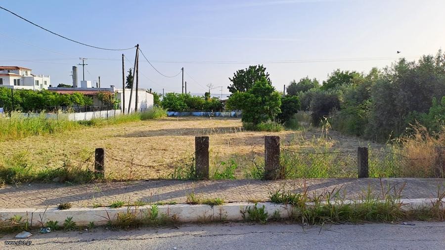 Οικόπεδο 800 τ.μ. προς πώληση, Ροβιές