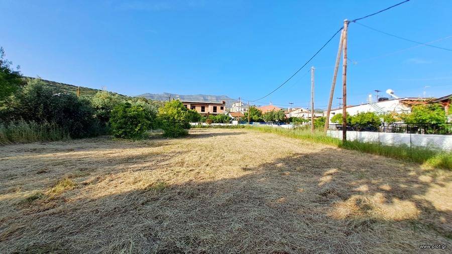 Οικόπεδο 800 τ.μ. προς πώληση, Ροβιές