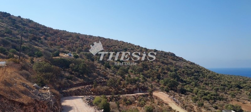 Οικόπεδο 14.000 τ.μ. προς πώληση, Αρεόπολη