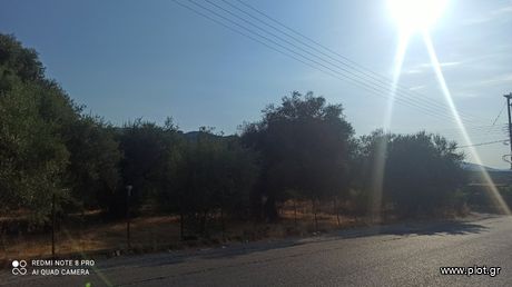 Οικόπεδο 1.300 τ.μ. για πώληση