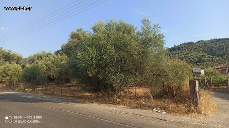 Οικόπεδο 1.300 τ.μ. για πώληση
