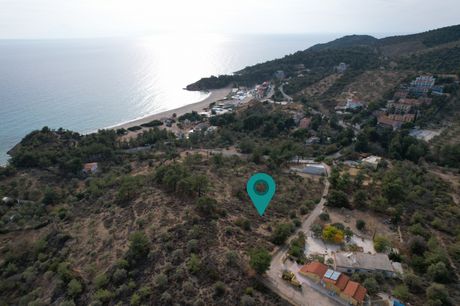 Αγροτεμάχια 5.400τ.μ. για πώληση-Θάσος » Λιμενάρια