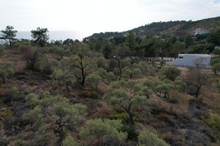 Αγροτεμάχια 5.400 τ.μ. προς πώληση, Λιμενάρια Θάσου-thumb-3