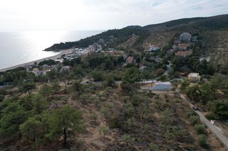 Αγροτεμάχια 5.400 τ.μ. προς πώληση, Λιμενάρια Θάσου-thumb-4