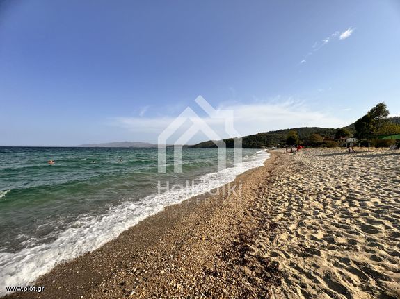 Αγροτεμάχια 1.550 τ.μ. για πώληση, Χαλκιδική, Σιθωνία