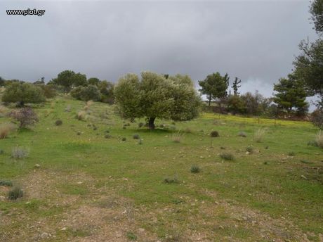 Οικόπεδο 305τ.μ. για πώληση-Σπάτα » Κέντρο