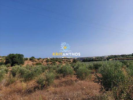 Οικόπεδο 22.000 τ.μ. για πώληση