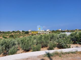 Οικόπεδο 22.000 τ.μ. για πώληση, Ν. Ρεθύμνου, Αρκάδι-thumb-1