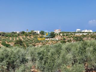 Οικόπεδο 22.000 τ.μ. για πώληση, Ν. Ρεθύμνου, Αρκάδι-thumb-2