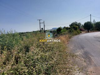 Οικόπεδο 22.000 τ.μ. για πώληση, Ν. Ρεθύμνου, Αρκάδι-thumb-4