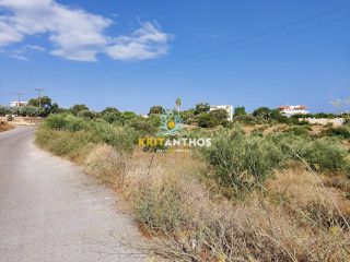 Οικόπεδο 22.000 τ.μ. για πώληση, Ν. Ρεθύμνου, Αρκάδι-thumb-6