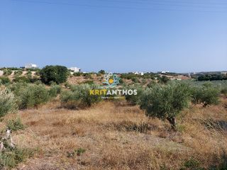 Οικόπεδο 22.000 τ.μ. για πώληση, Ν. Ρεθύμνου, Αρκάδι-thumb-7