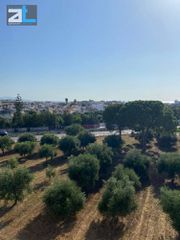 Studio / γκαρσονιέρα 27 τ.μ. για πώληση, Αχαΐα, Πάτρα-thumb-4