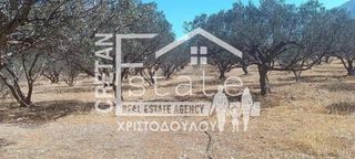 Αγροτεμάχια 1.060 τ.μ. για πώληση