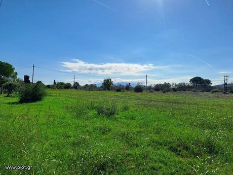 Parcel 3.485sqm for sale-Nilea » Agia Anna
