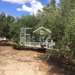 Αγροτεμάχια 561 τ.μ. για πώληση, Ν. Λασιθίου, Ιεράπετρα-thumb-1