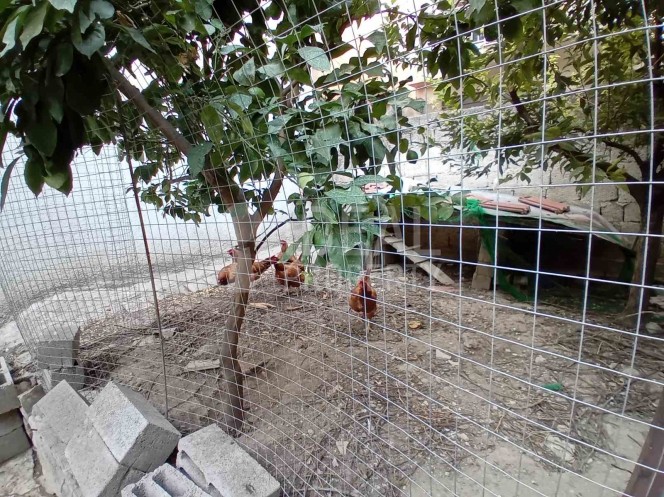 Οικόπεδο 125 τ.μ. προς πώληση, Αχαΐα, Πάτρα