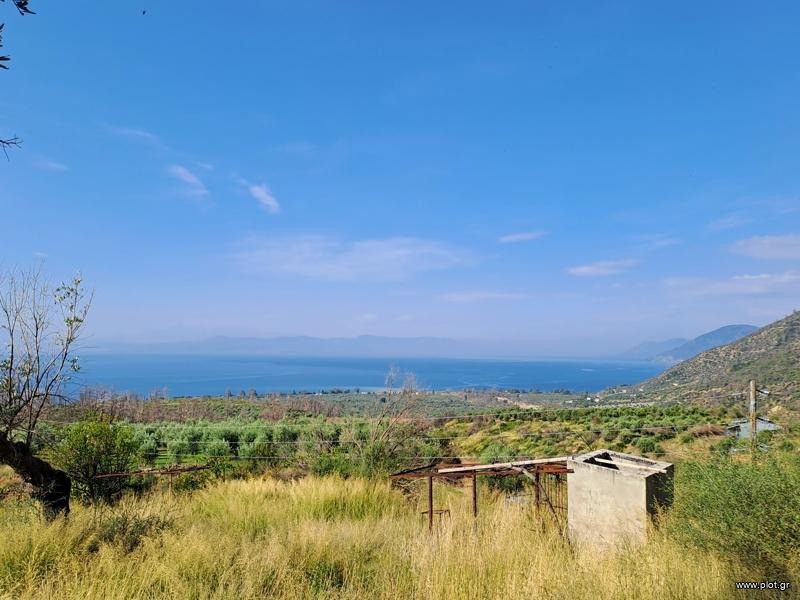 Αγροτεμάχια 10.000 τ.μ. προς πώληση, Παλαιοχώρι Λίμνης