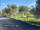 Land plot 4.100sqm for sale-Eretria » Agioi Asomatoi