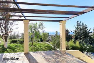 Βίλλα 460 τ.μ. για πώληση, Εύβοια, Λίμνη-thumb-25