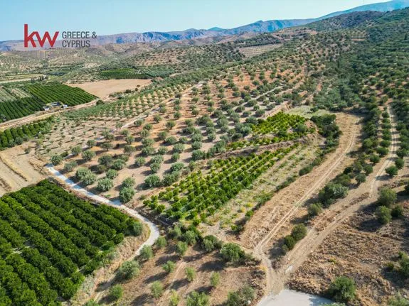 Αγροτεμάχια 10.560 τ.μ. για πώληση, Αργολίδα, Νέα Τίρυνθα