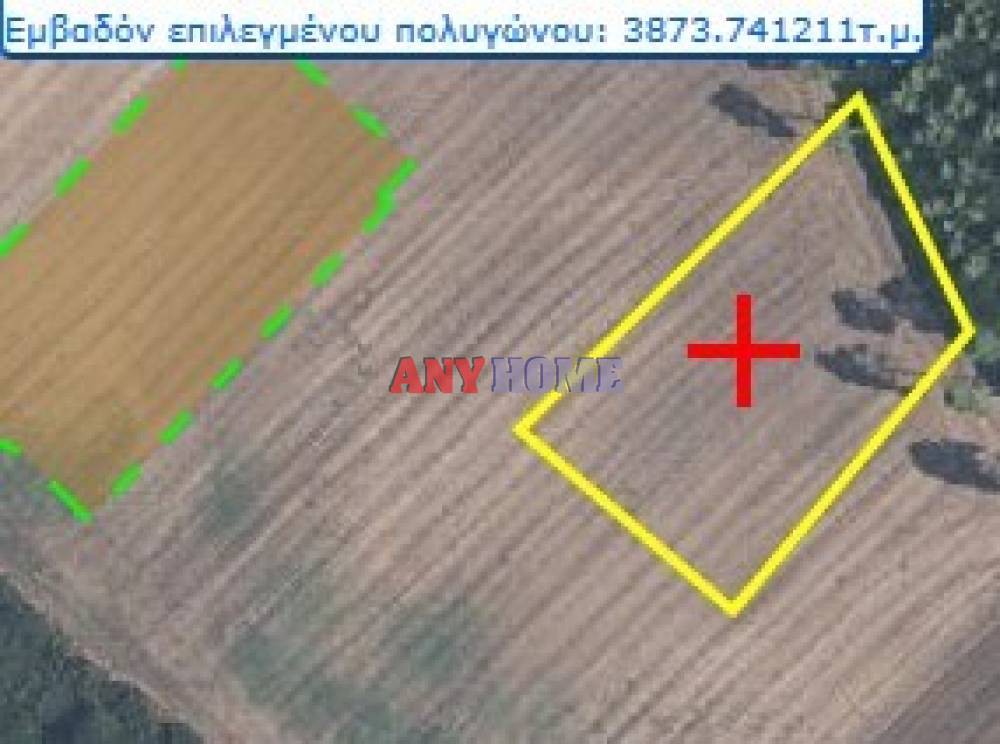 Αγροτεμάχια 62.000 τ.μ. προς πώληση, Κασσάνδρεια