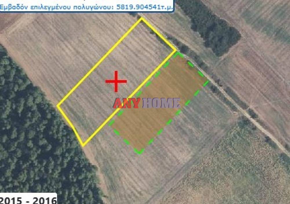 Αγροτεμάχια 62.000 τ.μ. προς πώληση, Κασσάνδρεια