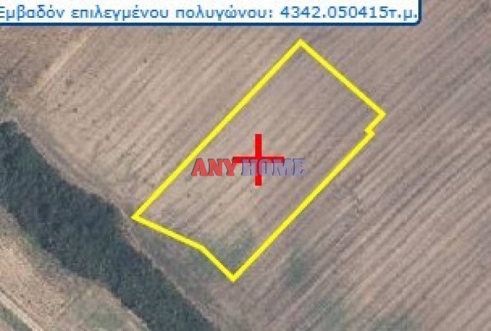 Αγροτεμάχια 62.000 τ.μ. προς πώληση, Κασσάνδρεια