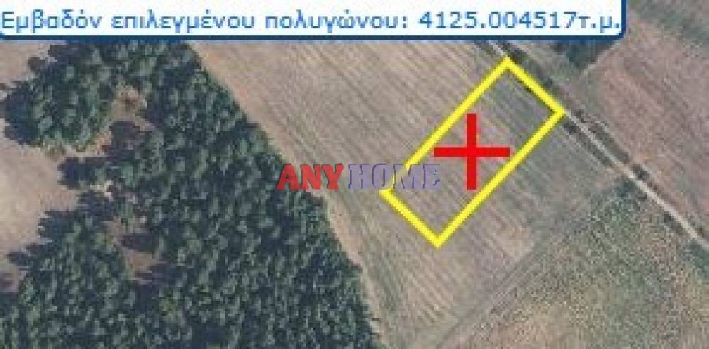 Αγροτεμάχια 62.000 τ.μ. προς πώληση, Κασσάνδρεια