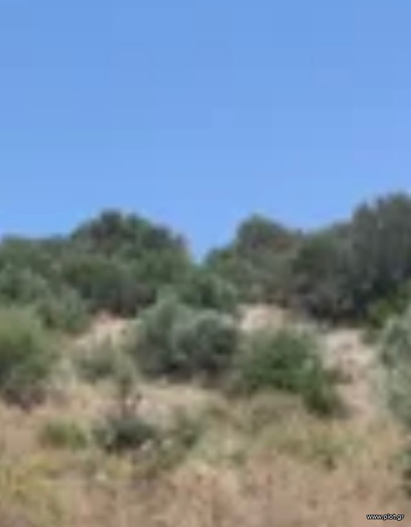 Οικόπεδο 300.000 τ.μ. για πώληση, Κυκλάδες, Δονούσα