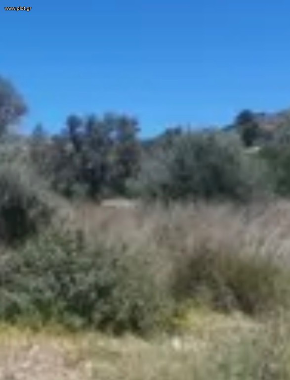 Οικόπεδο 110.000 τ.μ. προς πώληση, Χώρα Ηρακλειάς