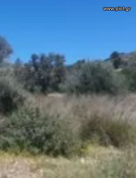 Land plot 110.000sqm for sale-Iraklias » Main Town - Chora
