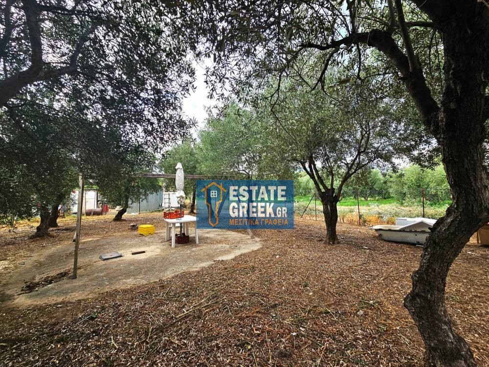 Ξενοδοχείο 400 τ.μ. πρός πώληση, Ν. Καβάλας, Καβάλα