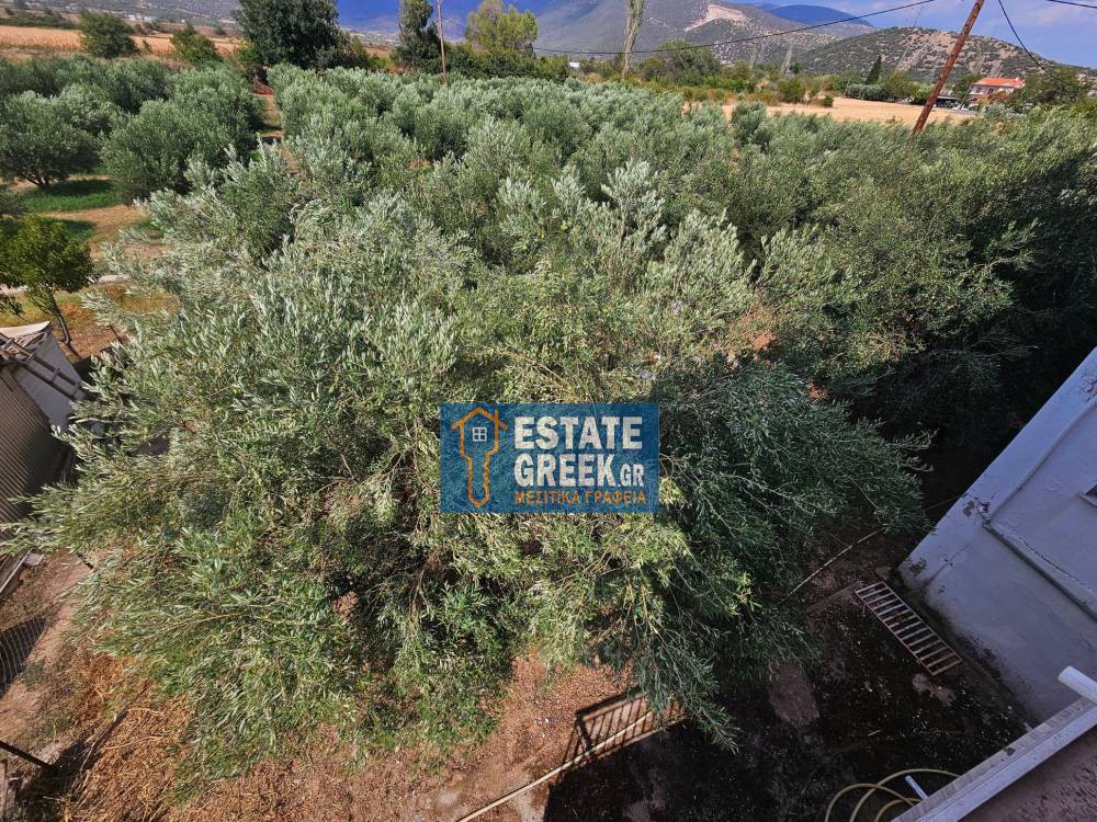 Ξενοδοχείο 400 τ.μ. πρός πώληση, Ν. Καβάλας, Καβάλα