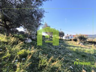 Οικόπεδο 491 τ.μ. προς πώληση, Άνω Καλλιθέα Μεσσάτιδας-thumb-13