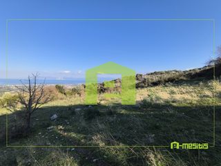Οικόπεδο 491 τ.μ. προς πώληση, Άνω Καλλιθέα Μεσσάτιδας-thumb-19