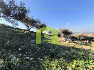 Οικόπεδο 491 τ.μ. προς πώληση, Άνω Καλλιθέα Μεσσάτιδας-thumb-15