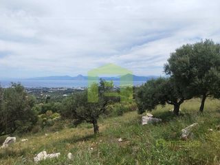 Οικόπεδο 491 τ.μ. προς πώληση, Άνω Καλλιθέα Μεσσάτιδας-thumb-10