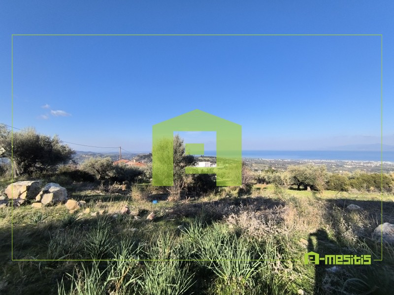 Οικόπεδο 491 τ.μ. προς πώληση, Άνω Καλλιθέα Μεσσάτιδας