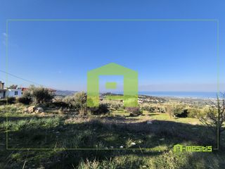 Οικόπεδο 491 τ.μ. προς πώληση, Άνω Καλλιθέα Μεσσάτιδας-thumb-6