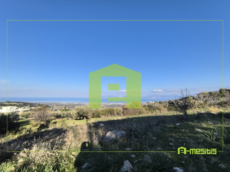 Οικόπεδο 491 τ.μ. προς πώληση, Άνω Καλλιθέα Μεσσάτιδας