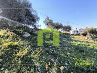 Οικόπεδο 491 τ.μ. προς πώληση, Άνω Καλλιθέα Μεσσάτιδας-thumb-16