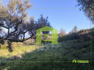 Οικόπεδο 491 τ.μ. προς πώληση, Άνω Καλλιθέα Μεσσάτιδας-thumb-12
