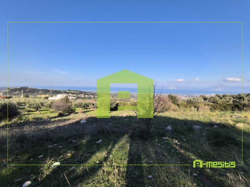 Οικόπεδο 491 τ.μ. προς πώληση, Άνω Καλλιθέα Μεσσάτιδας