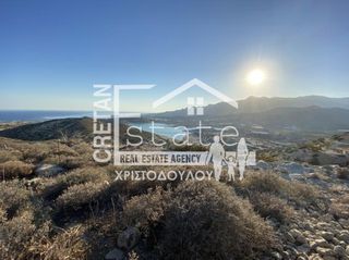 Αγροτεμάχια 6.500 τ.μ. για πώληση, Ν. Λασιθίου, Ιεράπετρα-thumb-13