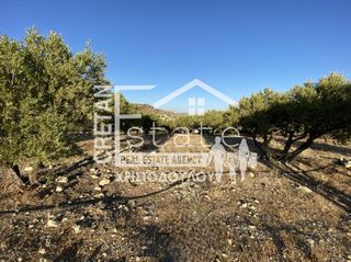 Αγροτεμάχια 6.500 τ.μ. για πώληση, Ν. Λασιθίου, Ιεράπετρα-thumb-14