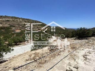 Αγροτεμάχια 6.500 τ.μ. για πώληση, Ν. Λασιθίου, Ιεράπετρα-thumb-7